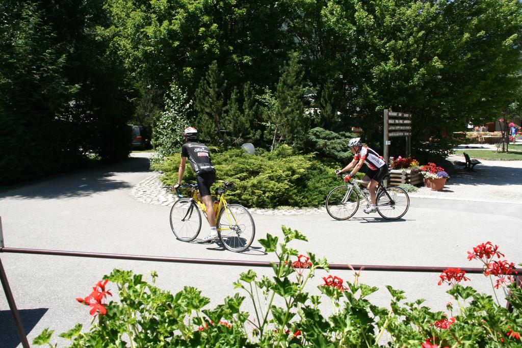 Camping Le Colporteur 호텔 Le Bourg-dʼOisans 외부 사진